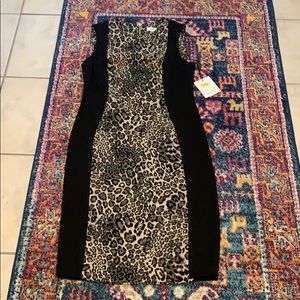 Leopard Calvin Klein work dress